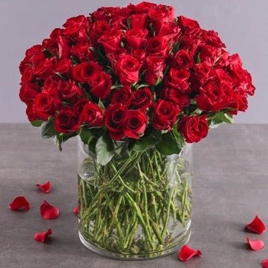 50 Red Roses in Vase