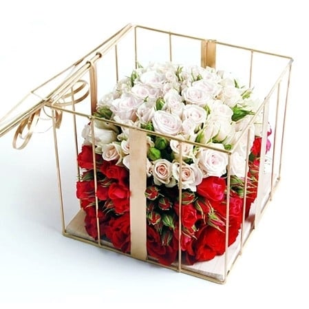 40 Roses In A Golden Frame