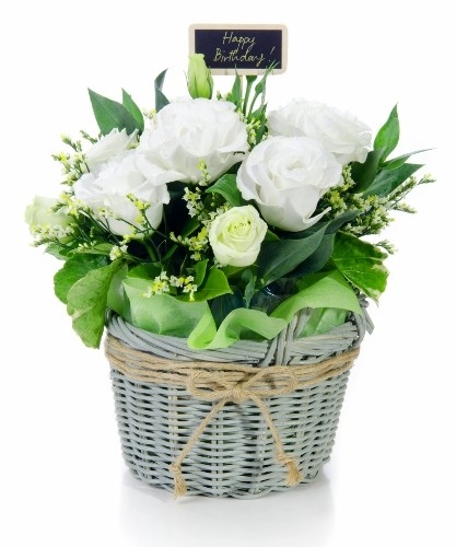 White Birthday Roses Basket
