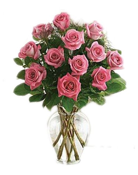 12 Fuchsia Pink Roses (12 Stems)