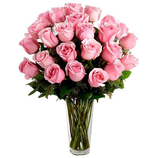 24 Pink Ecuadorian Roses