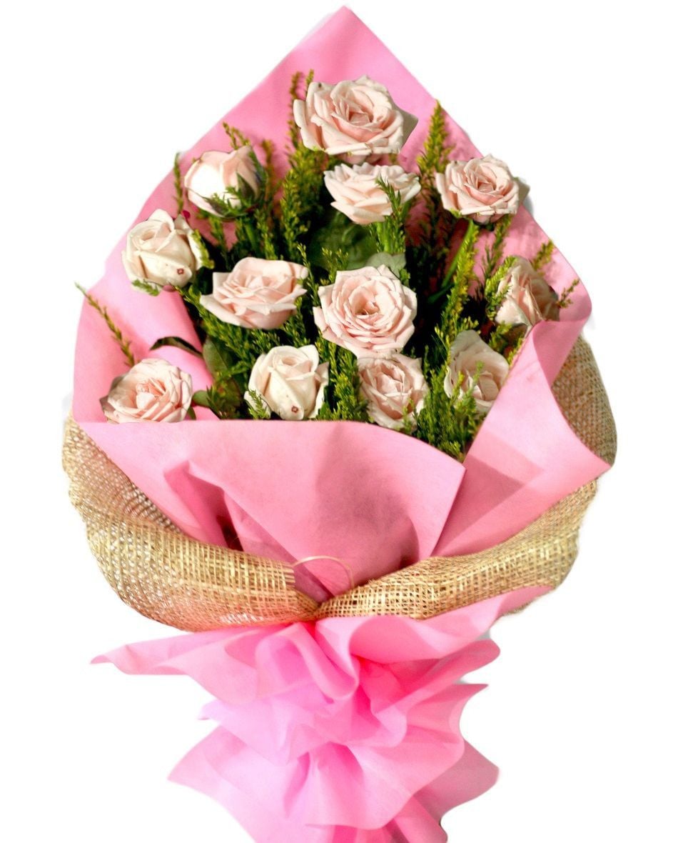 12 Baby Pink Roses Bouquet (12 Stems)