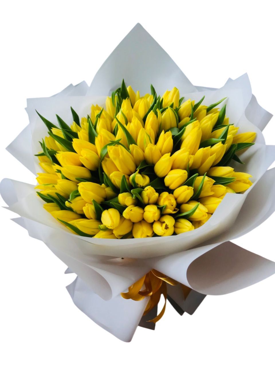40 Yellow Holland Tulips Bouquet