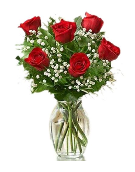 6 Red Ecuadorian Roses Bouquet