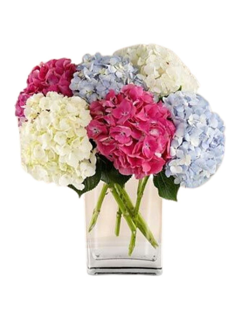 Assorted Hydrangeas Bouquet