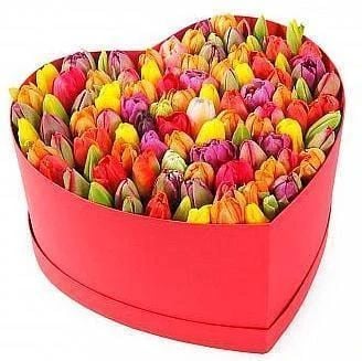 Rainbow Tulips Love Box (30 Tulips)