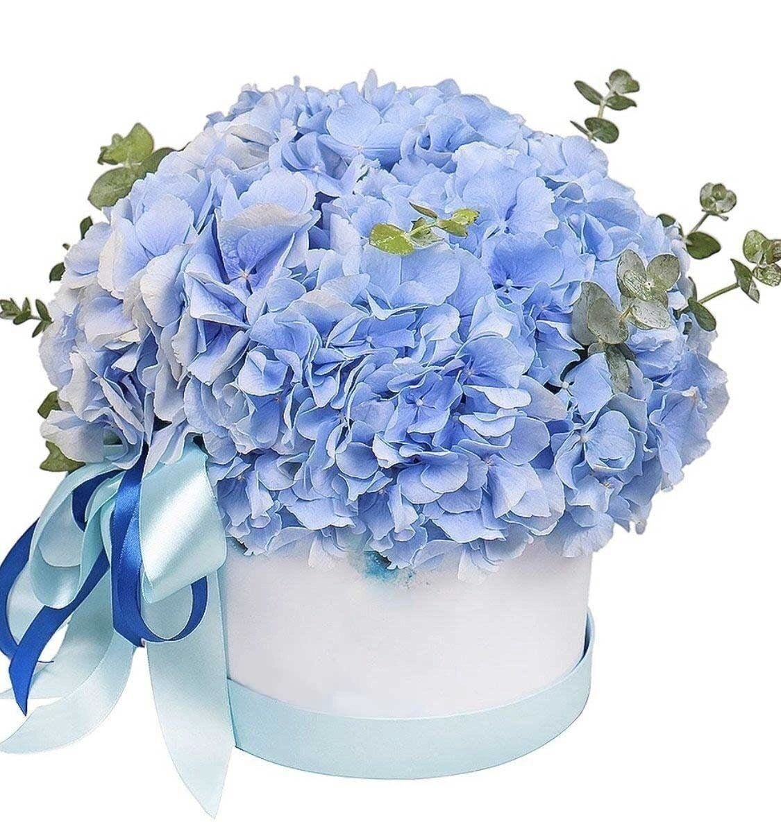 Deluxe Ecuadorian Roses Ferrero Box