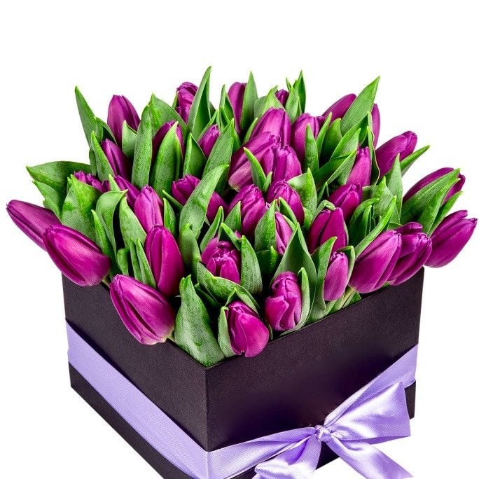 20 Violet Tulips Box