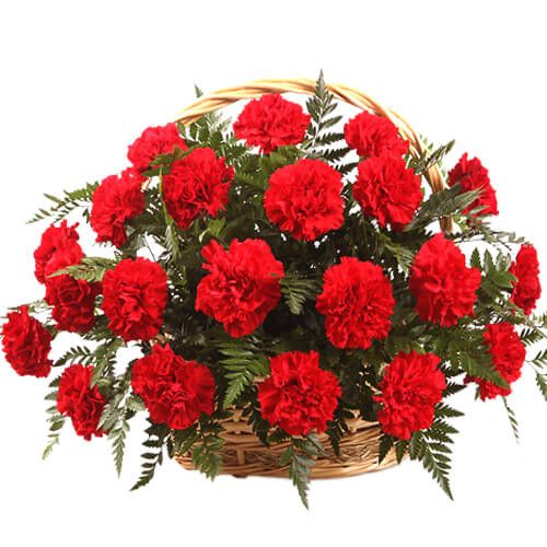 Carnations Basket (10 Carnations)