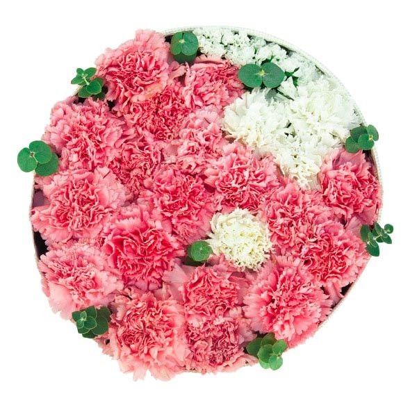 Carnations Round Box