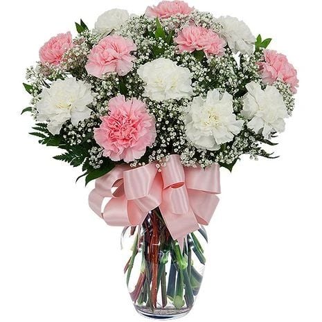 White and Pink Carnations Bouquet (10 Carnations)