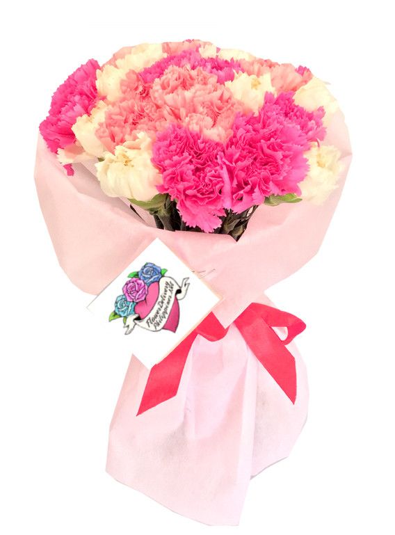12 Pink Ecuadorian Roses