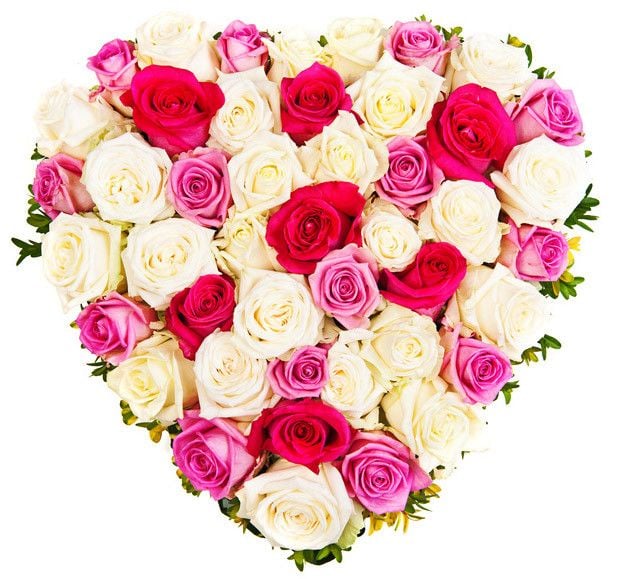 50 Ecuadorian Roses Heart Bouquet