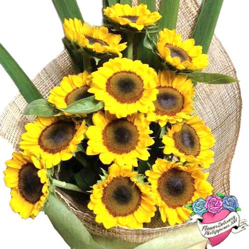 12 Sunflowers Grand Bouquet