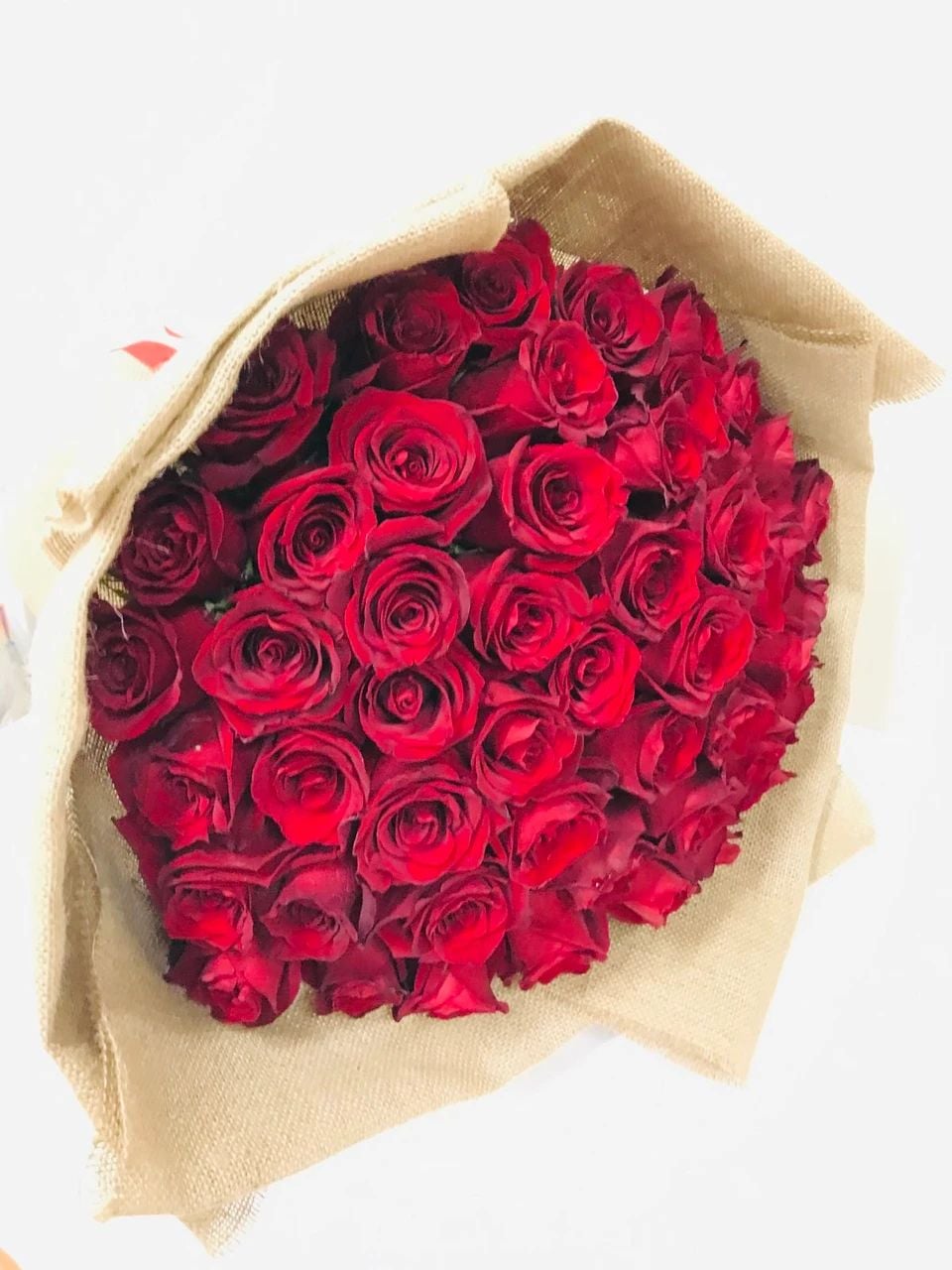 50 Ecuadorian Roses Giant Bouquet
