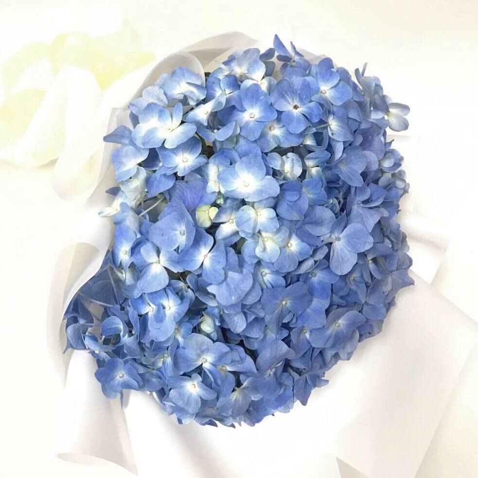 Blue Hydrangeas Bouquet