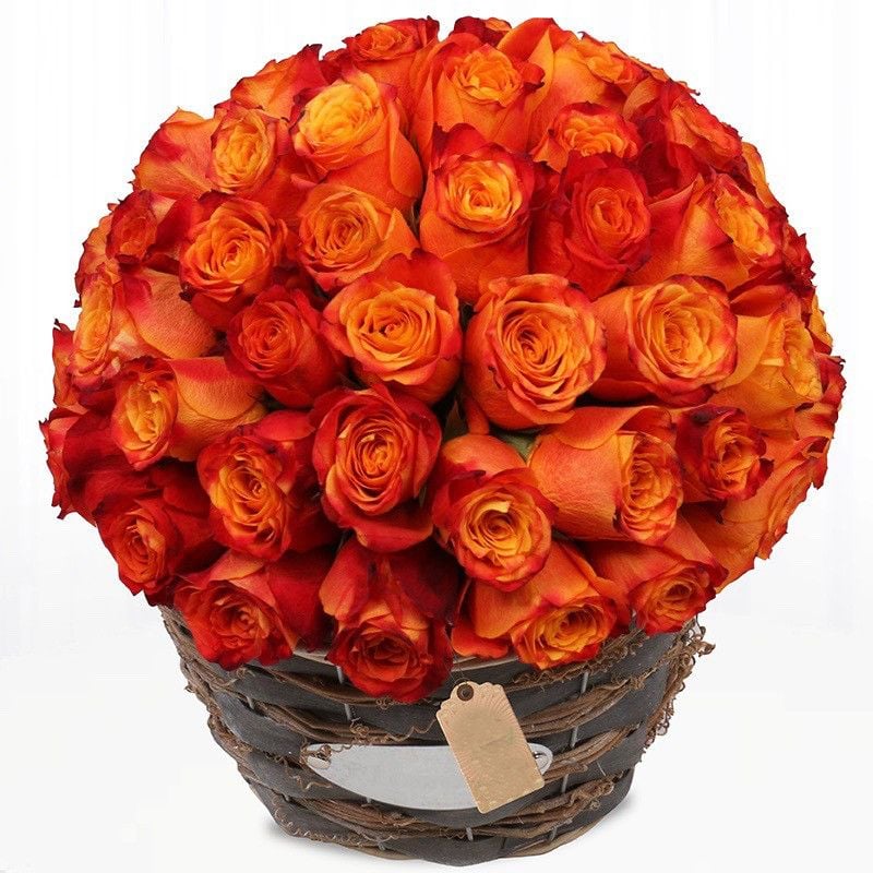 48 Korean Orange Roses Basket