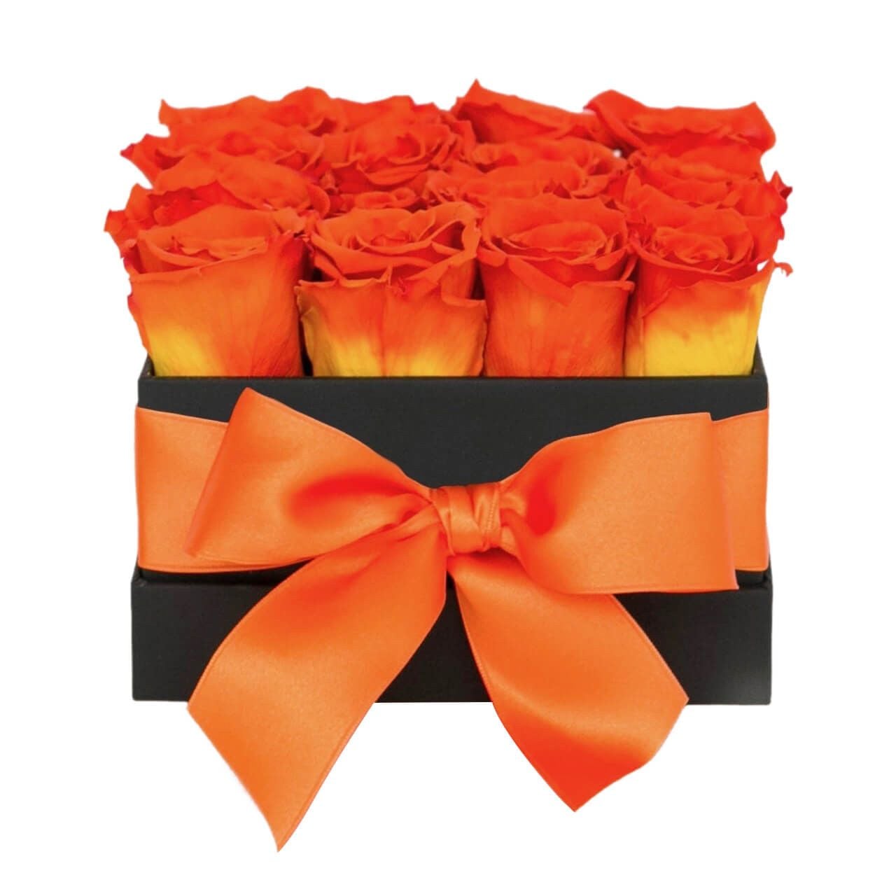 24 Korean Roses Square Box