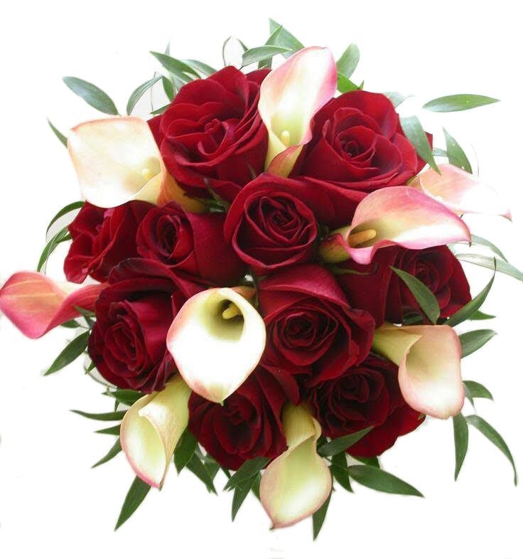 12 Roses & 12 Calla Lilies (12 Stems)