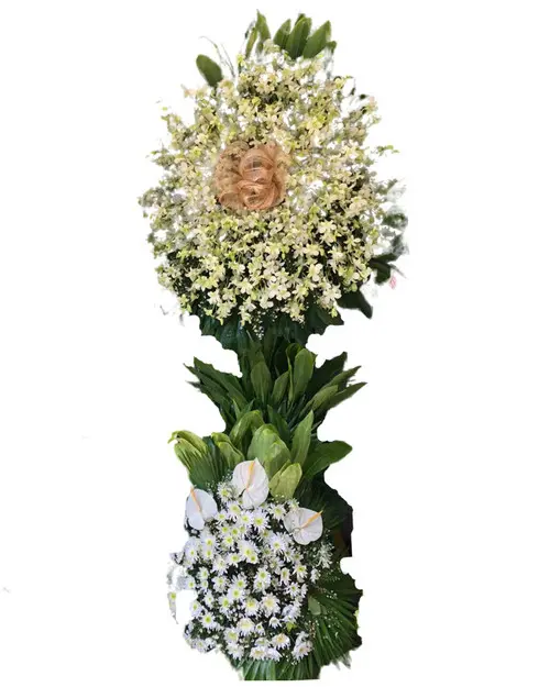 https://cdn11.bigcommerce.com/s-s00dfko9/images/stencil/{:size}/products/322/1928/4__03459.1601790943.jpg?c=2