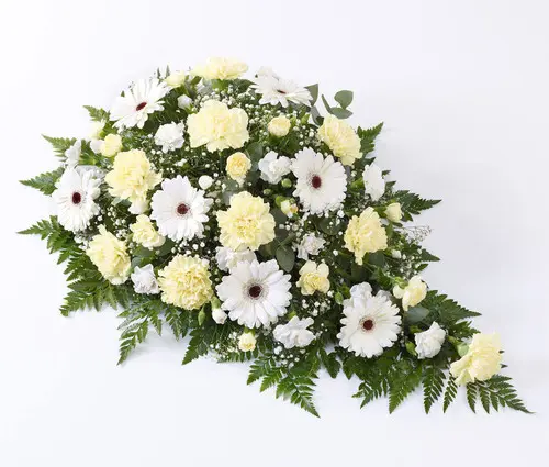 https://cdn11.bigcommerce.com/s-s00dfko9/images/stencil/{:size}/products/543/2245/Spray_Gerberas_Carnations_Funeral_Sympathy__11005.1709872877.jpg?c=2