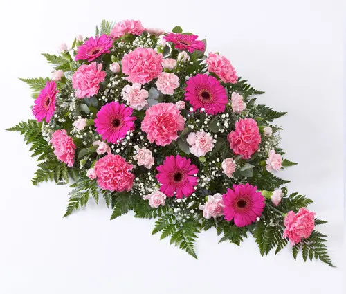 https://cdn11.bigcommerce.com/s-s00dfko9/images/stencil/{:size}/products/541/2244/Spray_Pink_Gerberas_Carnations_Funeral_Sympathy__71376.1709995890.jpg?c=2