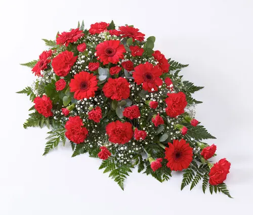https://cdn11.bigcommerce.com/s-s00dfko9/images/stencil/{:size}/products/546/2246/Spray_Carnations_Gerberas_Funeral_Sympathy__60246.1709859739.jpg?c=2