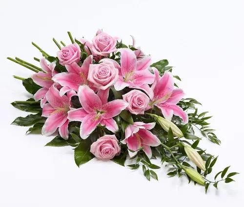 https://cdn11.bigcommerce.com/s-s00dfko9/images/stencil/{:size}/products/539/2239/1_spray__27008.1656659084.jpg?c=2