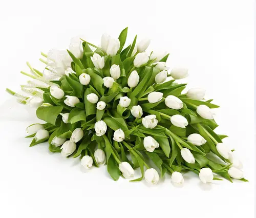 https://cdn11.bigcommerce.com/s-s00dfko9/images/stencil/{:size}/products/108/2238/tulips_posy_sympathy_centerpiece__95070.1729732266.jpg?c=2