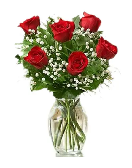 https://cdn11.bigcommerce.com/s-s00dfko9/images/stencil/{:size}/products/162/785/6_RED_ROSES__25678.1455791550.1280.1280__40297.1481534809.jpg?c=2
