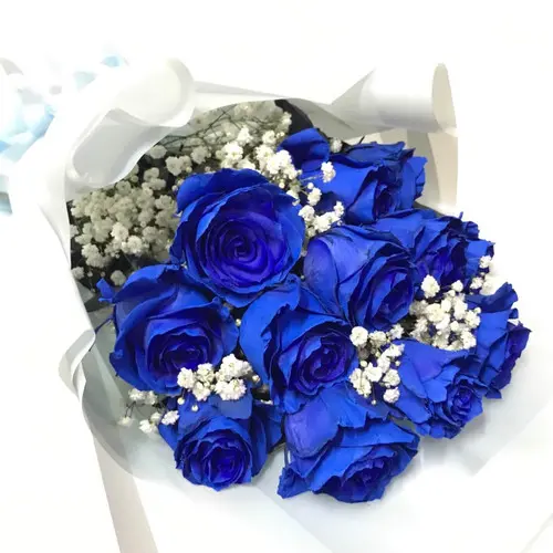 https://cdn11.bigcommerce.com/s-s00dfko9/images/stencil/{:size}/products/298/2045/Blue_Ecuadorian_Roses__51237.1619135458.jpg?c=2