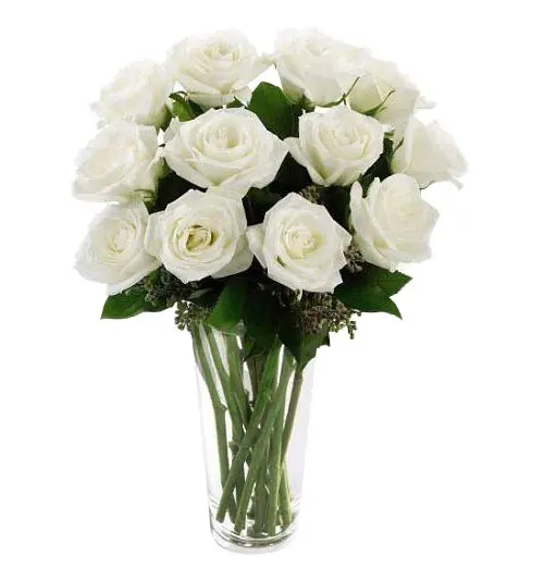 https://cdn11.bigcommerce.com/s-s00dfko9/images/stencil/{:size}/products/201/1574/dozen_white_Ecuadorian_roses_manila__67299.1559273614.jpg?c=2