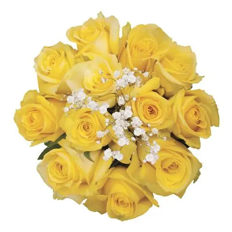 https://cdn11.bigcommerce.com/s-s00dfko9/images/stencil/{:size}/products/457/1803/Yellow_Ecuadorian_Roses_Manila__14931.1587150383.jpg?c=2