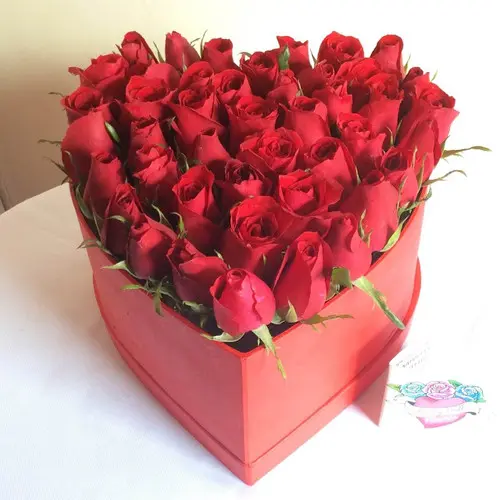 https://cdn11.bigcommerce.com/s-s00dfko9/images/stencil/{:size}/products/245/2009/IMG_3421__67161.1506493596.1280.1280-2__04964.1617040769.JPG?c=2