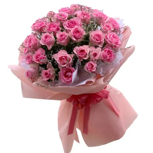 https://cdn11.bigcommerce.com/s-s00dfko9/images/stencil/{:size}/products/115/2432/pink_roses_bouquet_delivery_Philippines__44337.1724303823.jpg?c=2