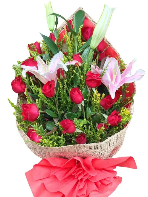 https://cdn11.bigcommerce.com/s-s00dfko9/images/stencil/{:size}/products/93/279/306303-cb2279d0c5174b30af6c857e39e6d189__27736.1558271812.jpg?c=2