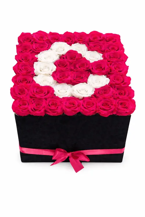 https://cdn11.bigcommerce.com/s-s00dfko9/images/stencil/{:size}/products/321/2568/roses_letter_flower_box__32289.1769371281.png?c=2