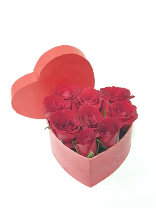 https://cdn11.bigcommerce.com/s-s00dfko9/images/stencil/{:size}/products/580/2291/mini_heart_box_1__58683.1729980616.jpg?c=2