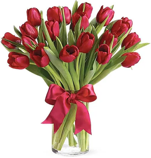 https://cdn11.bigcommerce.com/s-s00dfko9/images/stencil/{:size}/products/532/1902/red_tulipsss__13410.1613848367.jpg?c=2