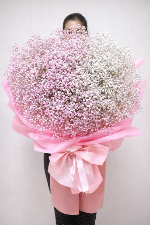 https://cdn11.bigcommerce.com/s-s00dfko9/images/stencil/{:size}/products/266/2562/Pink_and_White_Baby_Breath_Bouquet_Philippines__91756.1788229547.png?c=2
