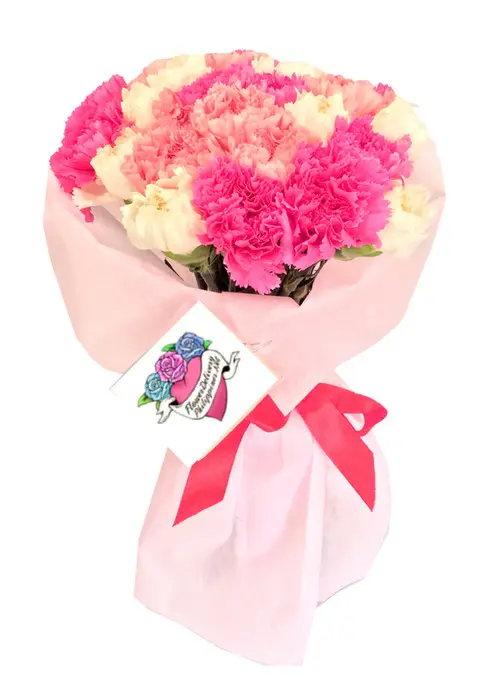 https://cdn11.bigcommerce.com/s-s00dfko9/images/stencil/{:size}/products/200/1666/carnations_white_pink__77606.1559314711.jpg?c=2
