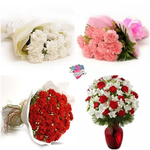 https://cdn11.bigcommerce.com/s-s00dfko9/images/stencil/{:size}/products/608/2355/Carnation_bouquet_Mothers_Day__76981.1713336471.jpg?c=2