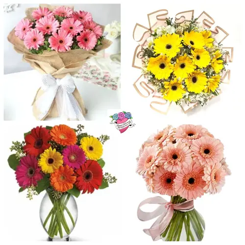 https://cdn11.bigcommerce.com/s-s00dfko9/images/stencil/{:size}/products/602/2389/Customize_Gerberas_Daisies_Bouquet__10872.1686479239.png?c=2