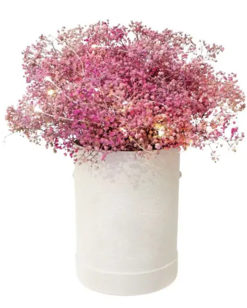 https://cdn11.bigcommerce.com/s-s00dfko9/images/stencil/{:size}/products/376/2224/pink_babys_breath_manila_delivery__21245.1709845840.jpg?c=2