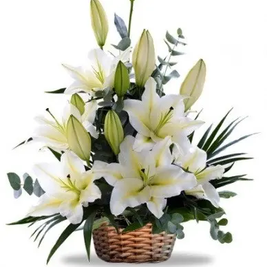 https://cdn11.bigcommerce.com/s-s00dfko9/images/stencil/{:size}/products/520/1156/casablanca_basket__45610.1497360409.1280.1280__56638.1497368834.jpg?c=2
