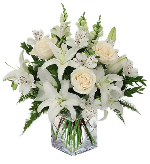 https://cdn11.bigcommerce.com/s-s00dfko9/images/stencil/{:size}/products/311/1674/Casablanca_Lilies_Roses_Manila__56559.1559664042.jpg?c=2