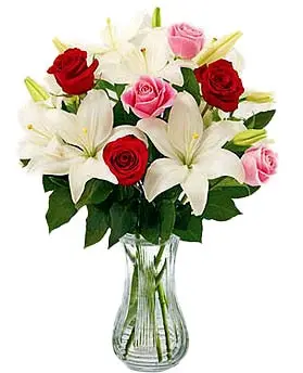 https://cdn11.bigcommerce.com/s-s00dfko9/images/stencil/{:size}/products/349/1580/casablanca_lilies_roses_bouquet_philippines_delivery__17781.1559272299.jpg?c=2