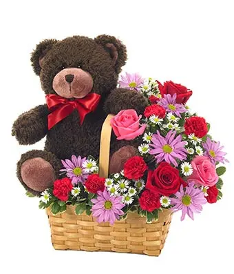 https://cdn11.bigcommerce.com/s-s00dfko9/images/stencil/{:size}/products/515/1128/basket_ted__17367.1496510515.jpg?c=2