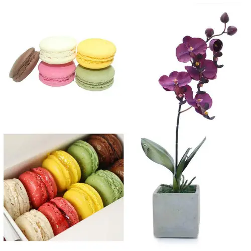 https://cdn11.bigcommerce.com/s-s00dfko9/images/stencil/{:size}/products/501/1393/orchid_macaron_package__01182.1554565120.jpg?c=2
