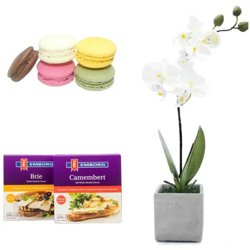 https://cdn11.bigcommerce.com/s-s00dfko9/images/stencil/{:size}/products/137/1394/orchid_package_macarons_cheese__33152.1554567203.jpg?c=2